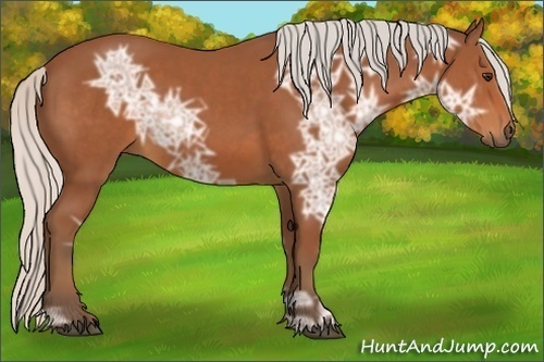 Horse Color:Silver Bay Ice 