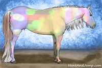Horse Color:Brown Appaloosa Brindle