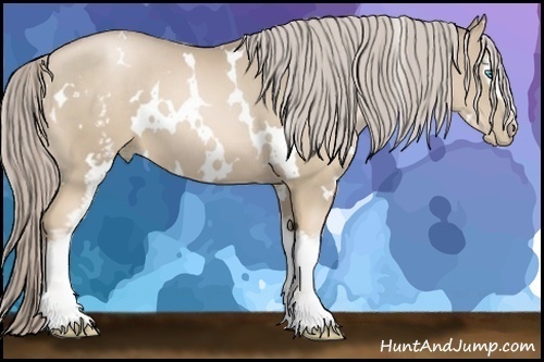 Horse Color:White Spotted Chocolate Palomino Pearl 