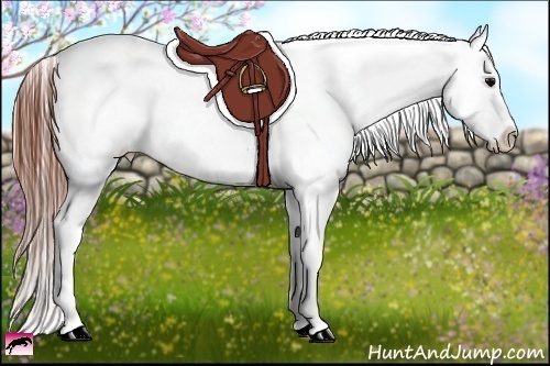 Horse Color:Brown Varnish  Brindle