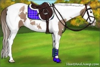 Horse Color:White Spotted Black Pearl Splash Tobiano 