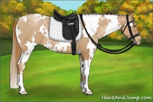 Horse Color:White Spotted Chestnut Pearl 
