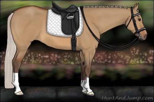 Horse Color:Silver Bay Dun