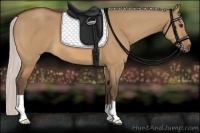 Horse Color:Silver Bay Dun 