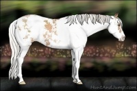 Horse Color:Silver Black Pearl Sabino 