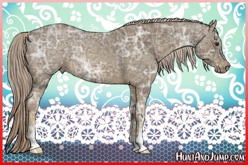 Horse Color:Chocolate Palomino Ice Sabino 