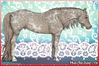 Horse Color:Chocolate Palomino Ice Sabino