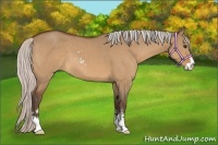Horse Color:Silver Bay Dun Sabino