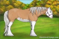 Horse Color:Silver Bay Sabino Splash