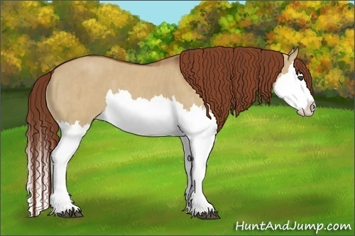 Horse Color:Red Dun Splash Brindle