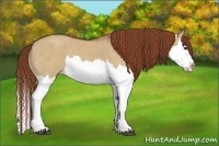 Horse Color:Red Dun Splash Brindle
