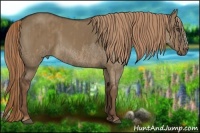 Horse Color:Liver Red Dun Splash  Brindle