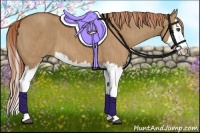 Horse Color:Red Dun Splash  Brindle