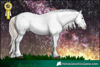 Horse Color:Chocolate Palomino Roan Appaloosa