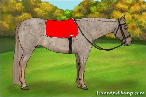 Horse Color:Chocolate Palomino Roan