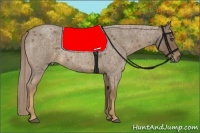 Horse Color:Chocolate Palomino Roan