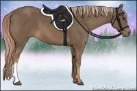 Horse Color:Chocolate Palomino 