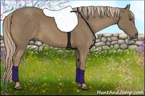 Horse Color:Chocolate Palomino 