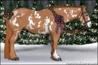 Horse Color:White Spotted Chestnut Sabino Frame 