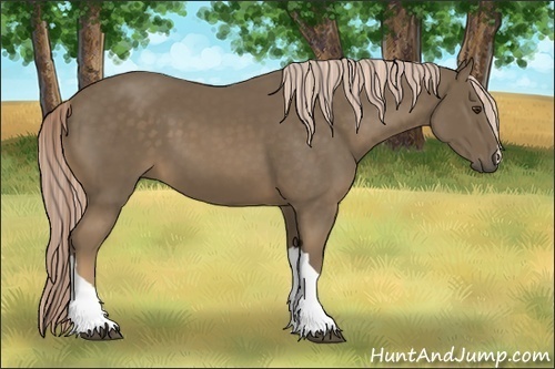 Horse Color:Chocolate Palomino 