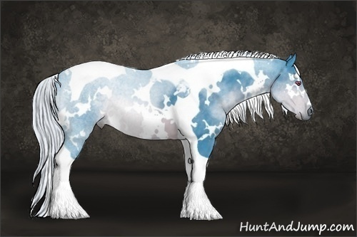 Horse Color:Watercolor White Spotted Silver Brown Chinchilla Tobiano