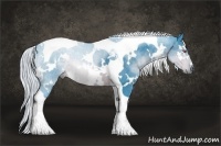Horse Color:Watercolor White Spotted Silver Brown Chinchilla Tobiano