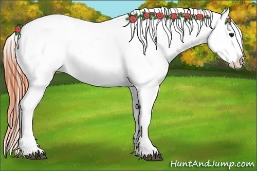 Horse Color:White Spotted Bay Sabino Frame Appaloosa