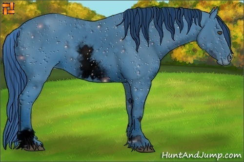 Horse Color:ERROR: UNKNOWN ANOMALY