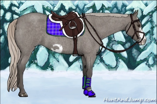 Horse Color:Silver Blue Roan Frame 