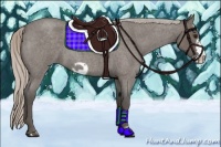 Horse Color:Silver Blue Roan Frame 