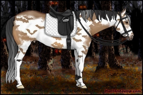 Horse Color:Bay Dun Splash Frame
