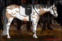 Horse Color:Bay Dun Splash Frame