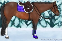 Horse Color:Bay Rabicano
