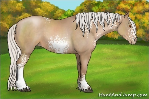 Horse Color:White Spotted Silver Black Pearl 