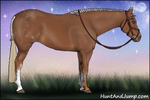 Horse Color:White Spotted Chestnut Sabino Frame 