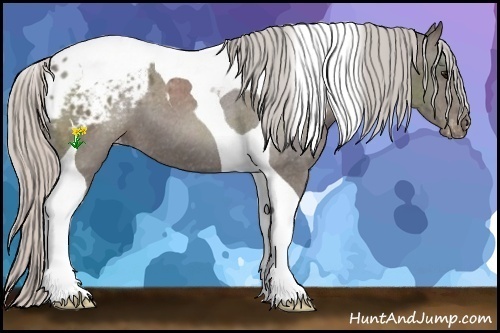Horse Color:Silver Black Tobiano Blanket 