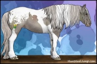 Horse Color:Silver Black Tobiano Blanket 