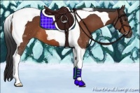 Horse Color:Bay Tobiano 