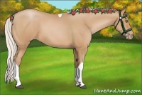 Horse Color:Silver Bay Pearl Tobiano 