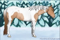 Horse Color:Bay Pearl Tobiano Rabicano