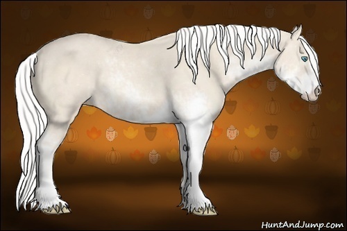 Horse Color:Silver Perlino Sabino Rabicano 