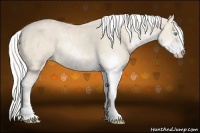 Horse Color:Silver Perlino Sabino Rabicano