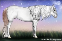 Horse Color:Brown Roan Blanket Rabicano