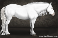 Horse Color:Liver Red Onyx Sabino Splash Appaloosa 