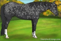 Horse Color:Black Ice 