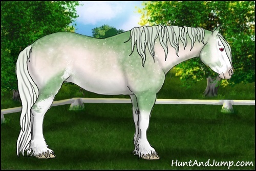Horse Color:Watercolor Silver Blue Onyx Chinchilla Sabino Splash Rabicano
