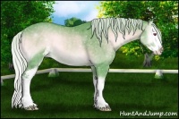 Horse Color:Watercolor Silver Blue Onyx Chinchilla Sabino Splash Rabicano 