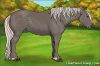 Horse Color:Silver Black 