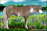 Horse Color:Silver Black Sabino 