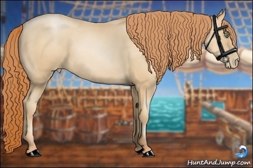 Horse Color:Classic Champagne Pearl 